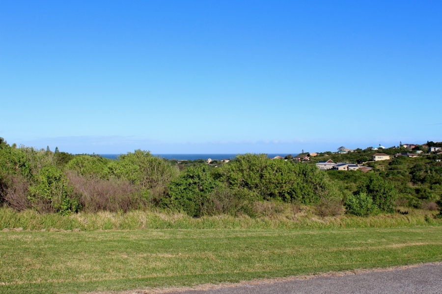 0 Bedroom Property for Sale in Forest Downs Eastern Cape